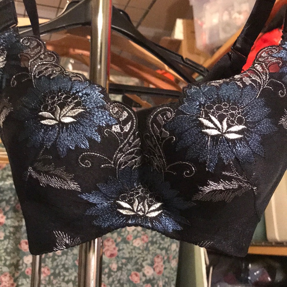 Elegantly Embroidered Bra